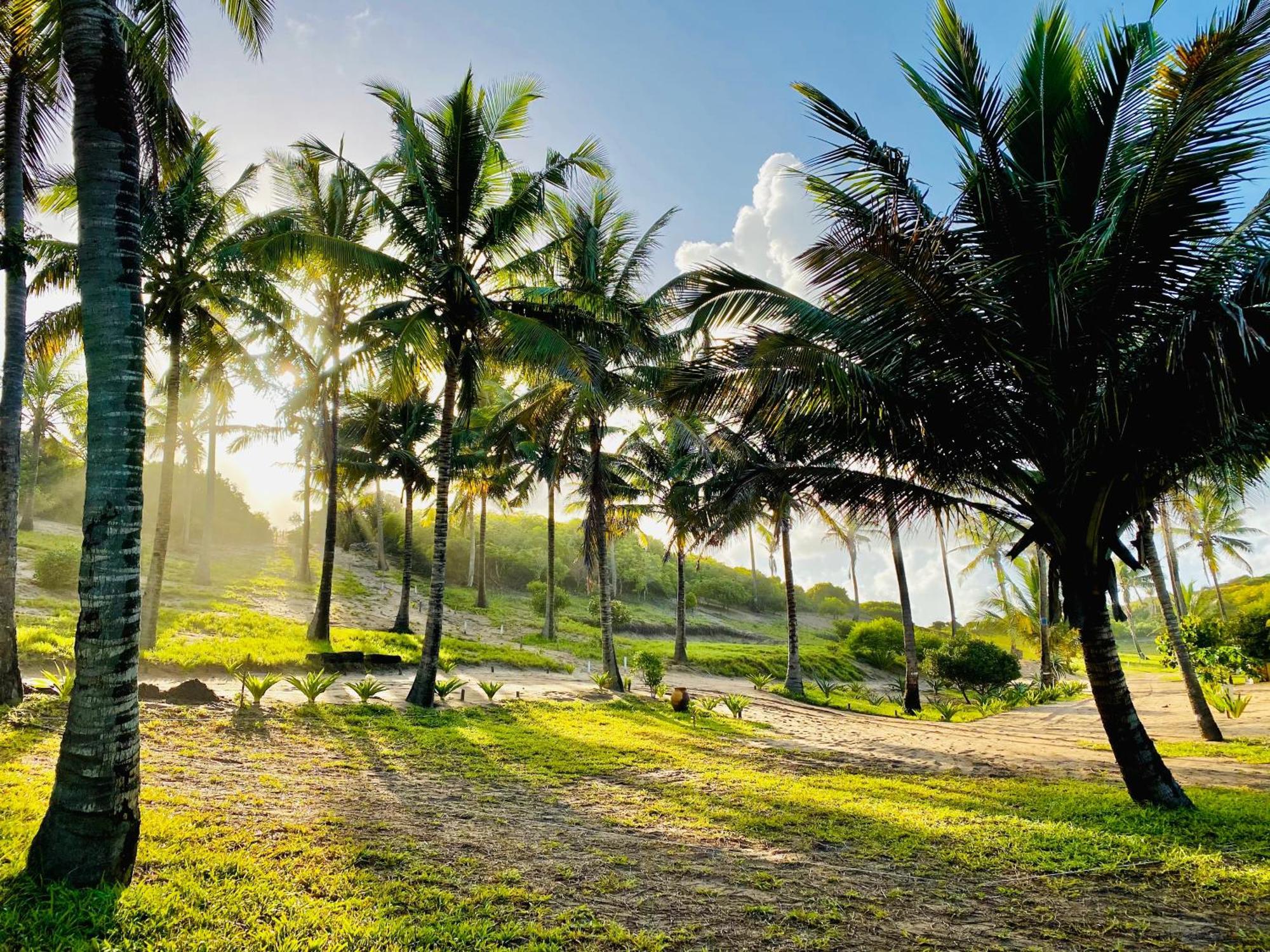 Vista Do Deus Resort Ligogo 外观 照片